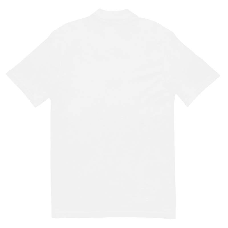 Polo InF